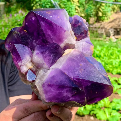 Purple Amethyst Cluster-ToShay.org