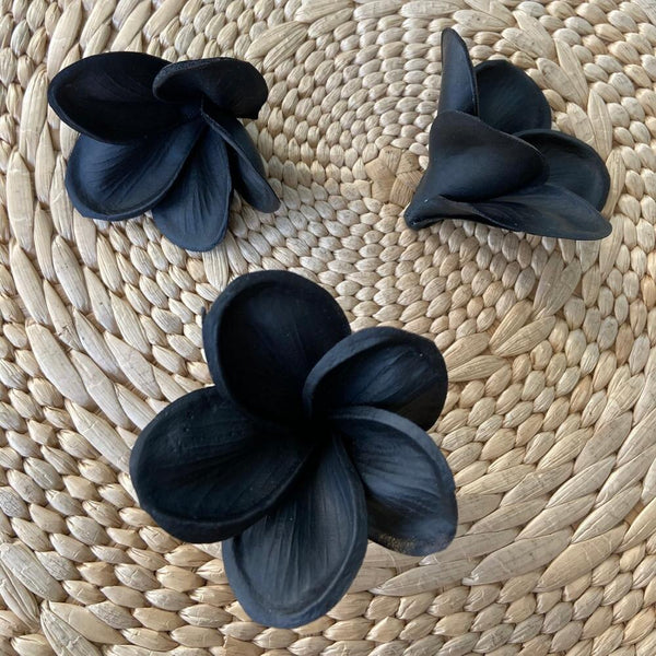 Black Calla Lilies-ToShay.org