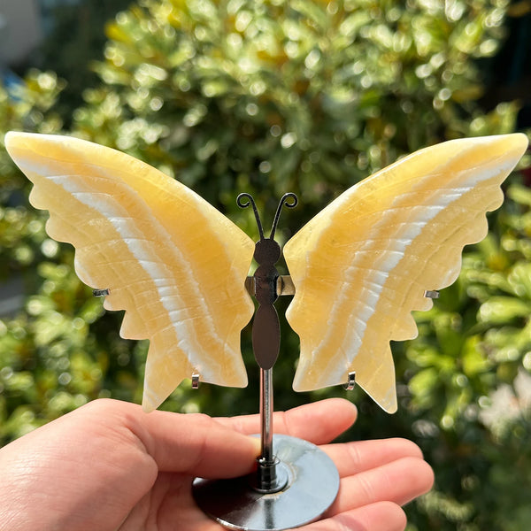 Yellow Calcite Butterfly Wings-ToShay.org