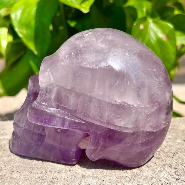 Purple Amethyst Quartz Skull-ToShay.org