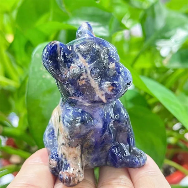 Blue Sodalite Dog-ToShay.org