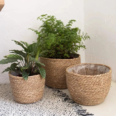 Straw Pot Plant Basket-ToShay.org