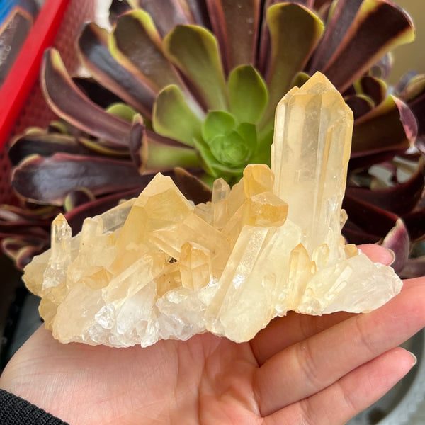 White Crystal Quartz Cluster-ToShay.org