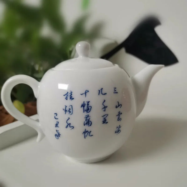 Blue White Porcelain Teapot-ToShay.org