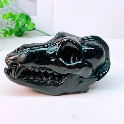 Black Obsidian Dinosaur Skull-ToShay.org