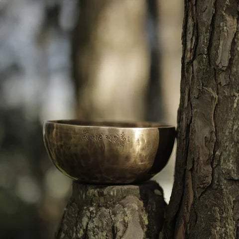 Tibetan Singing Bowl-ToShay.org