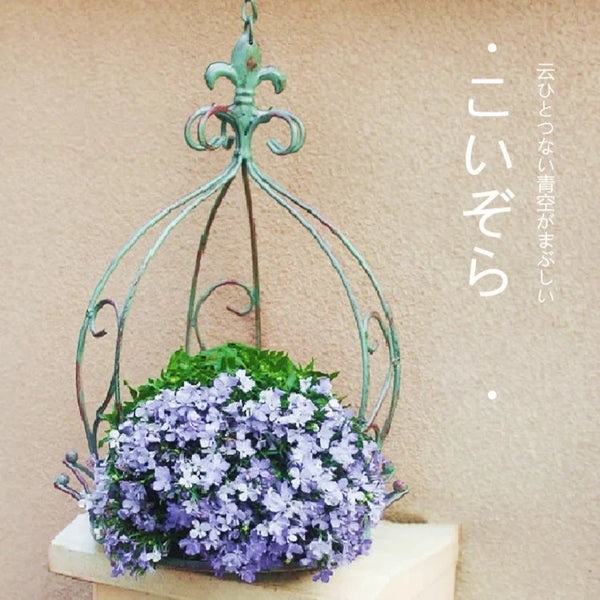 Birdcage Hanging Basket-ToShay.org