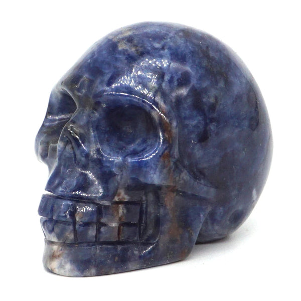 Mixed Crystal Skulls-ToShay.org