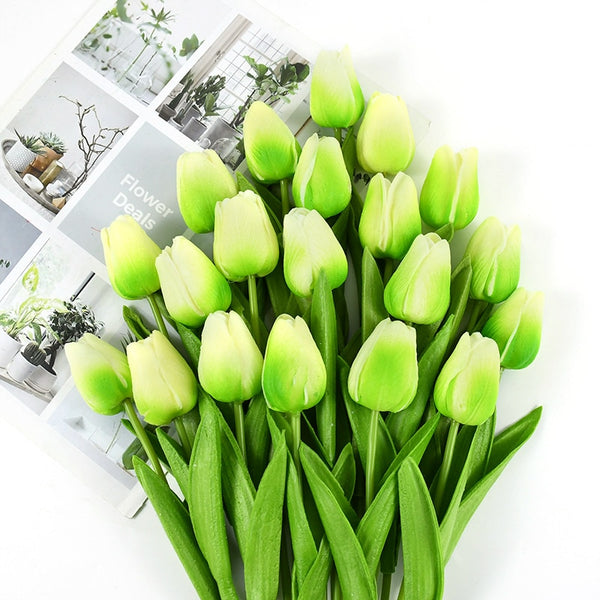 Tulip Flowers-ToShay.org