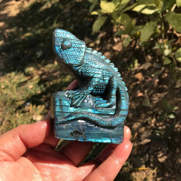 Blue Labradorite Lizard-ToShay.org