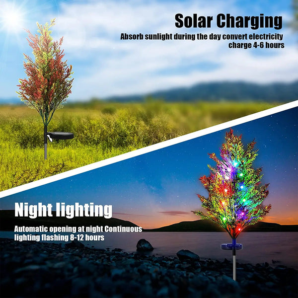 Tree Lawn Lights-ToShay.org