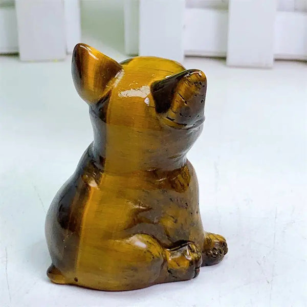 Yellow Tiger Eye Dog-ToShay.org