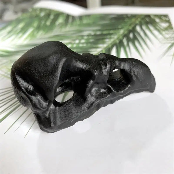 Black Obsidian Bird Skull-ToShay.org