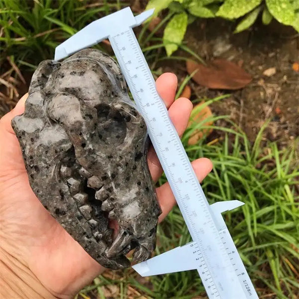 Grey Yooperlite Dinosaur Skull-ToShay.org