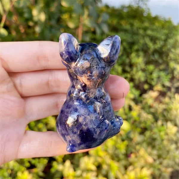 Blue Sodalite Dog-ToShay.org