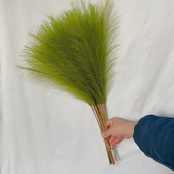 Pampas Grass-ToShay.org