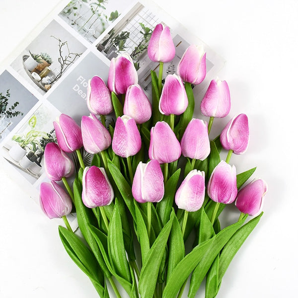 Tulip Flowers-ToShay.org