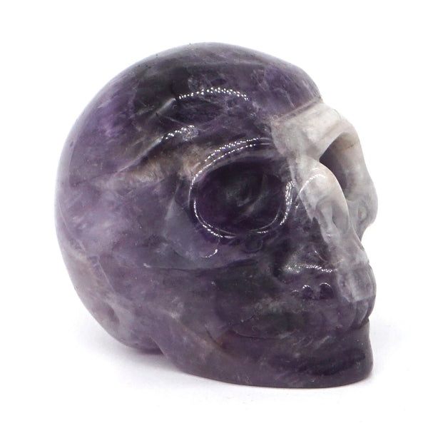 Mixed Crystal Skulls-ToShay.org