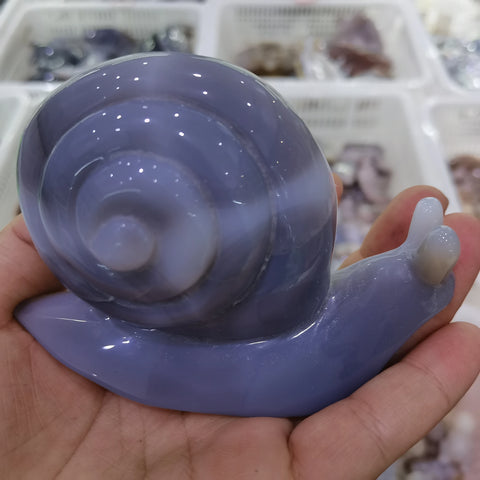 Grey Agate Snail-ToShay.org