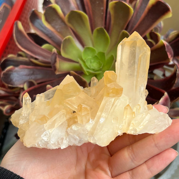 White Crystal Quartz Cluster-ToShay.org