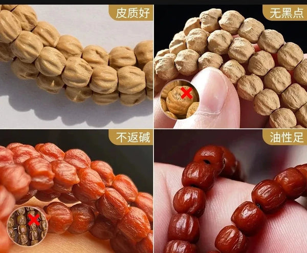 Bodhi Seed Prayer Beads-ToShay.org