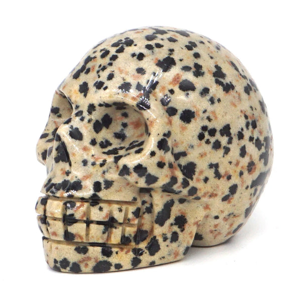 Mixed Crystal Skulls-ToShay.org