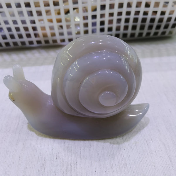 Grey Agate Snail-ToShay.org