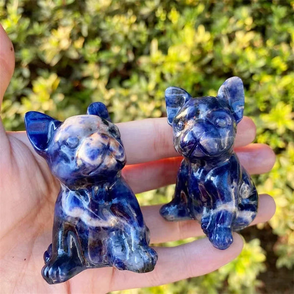 Blue Sodalite Dog-ToShay.org