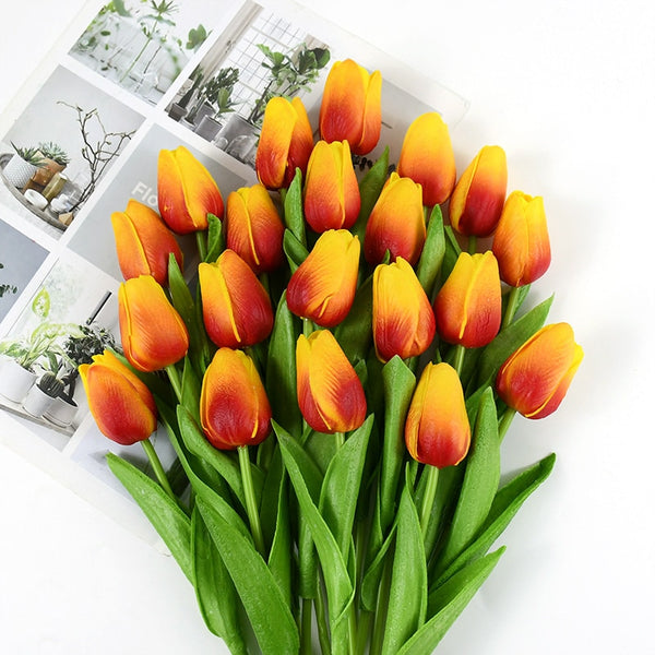 Tulip Flowers-ToShay.org