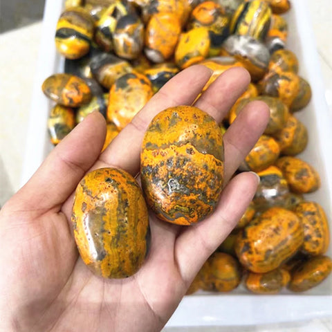 Yellow Bumblebee Jasper Stones-ToShay.org