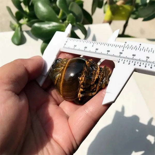 Yellow Tiger Eye Dragon Turtle-ToShay.org