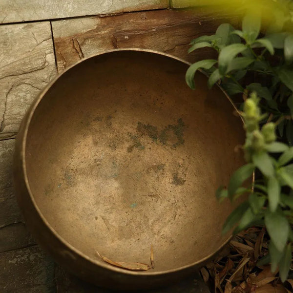 Tibetan Singing Bowl-ToShay.org