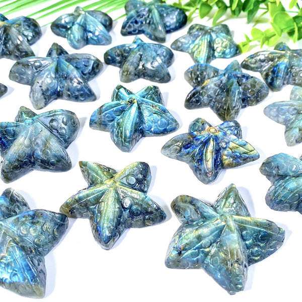 Blue Labradorite Starfish-ToShay.org