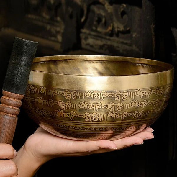 Tibetan Bronze Singing Bowl-ToShay.org