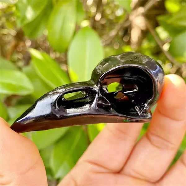 Black Obsidian Raven Skull-ToShay.org