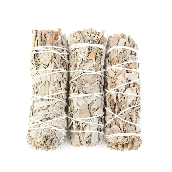 White Sage Smudge Stick-ToShay.org