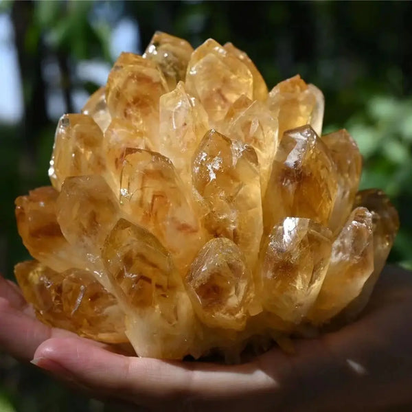 Yellow Citrine Crystal Cluster-ToShay.org