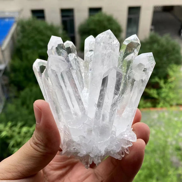 Mixed Quartz Crystal Cluster-ToShay.org