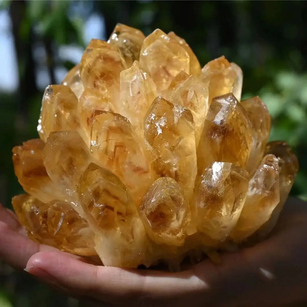 Yellow Citrine Crystal Cluster-ToShay.org