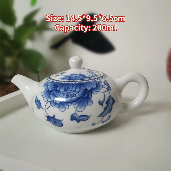 Blue White Porcelain Teapot-ToShay.org