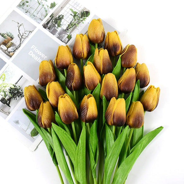 Tulip Flowers-ToShay.org