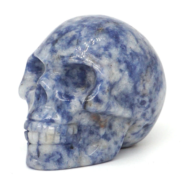 Mixed Crystal Skulls-ToShay.org