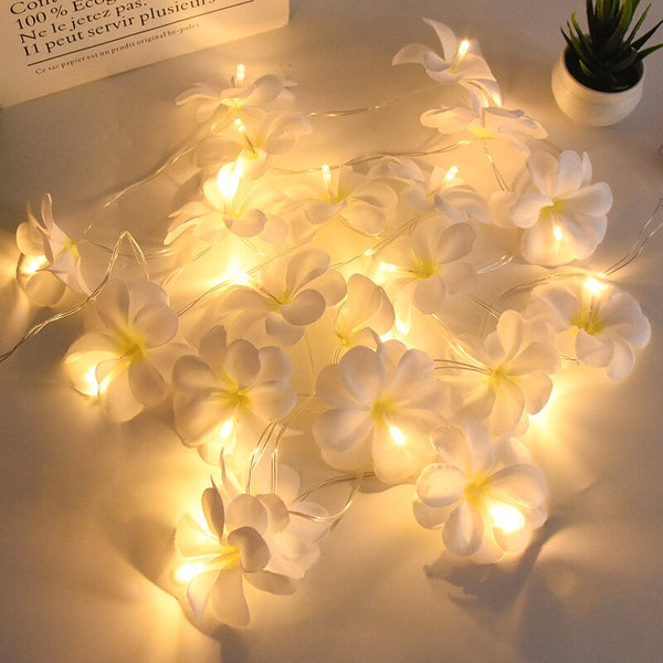 Frangipani Flower String Lights-ToShay.org