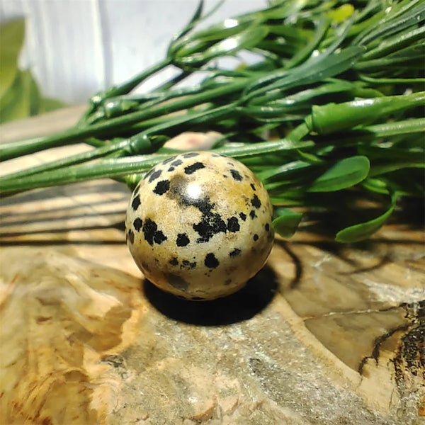 Mixed Quartz Crystal Balls-ToShay.org