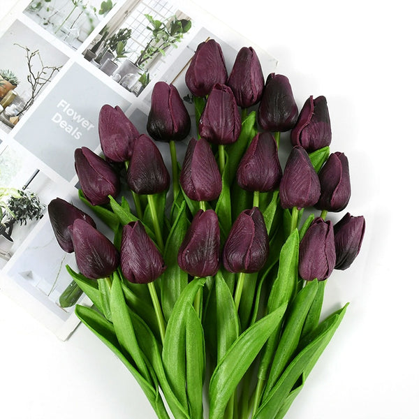 Tulip Flowers-ToShay.org