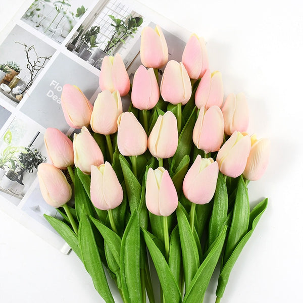 Tulip Flowers-ToShay.org