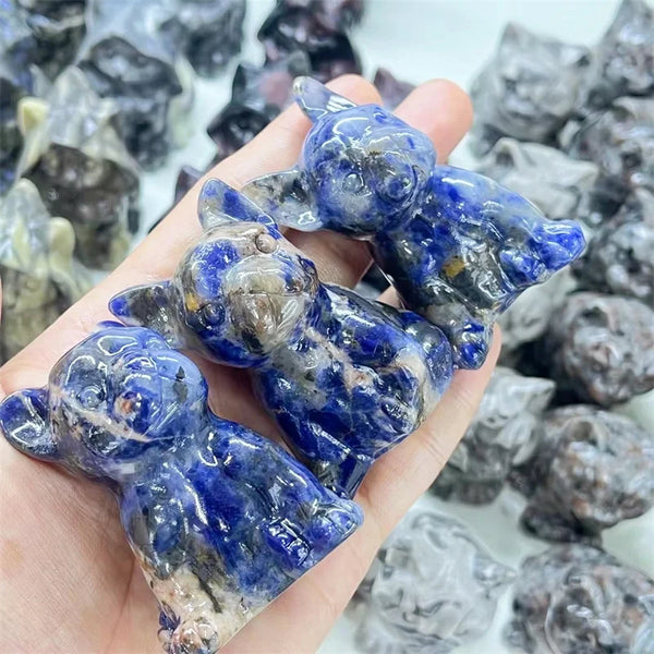 Blue Sodalite Dog-ToShay.org