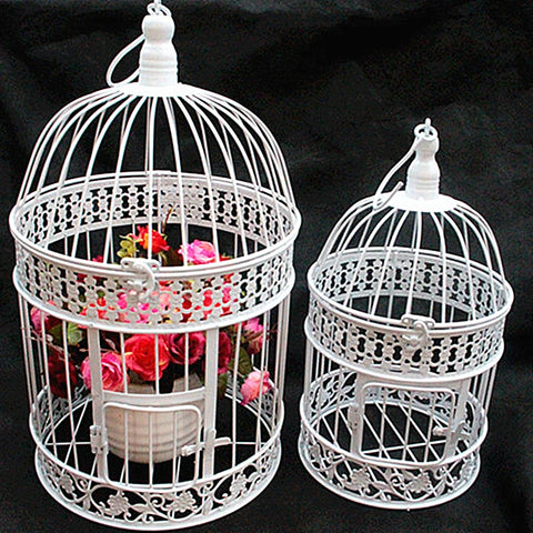 Iron Bird Cage-ToShay.org