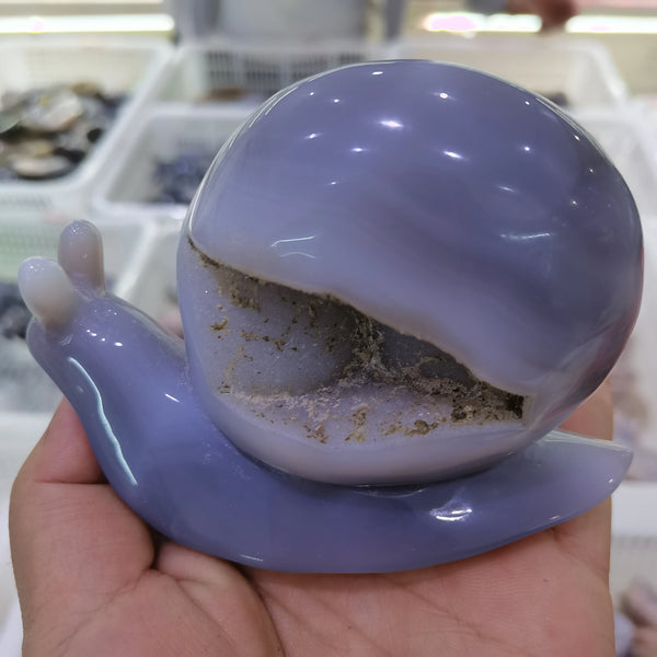 Grey Agate Snail-ToShay.org