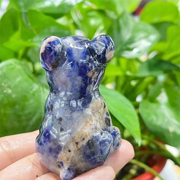 Blue Sodalite Dog-ToShay.org